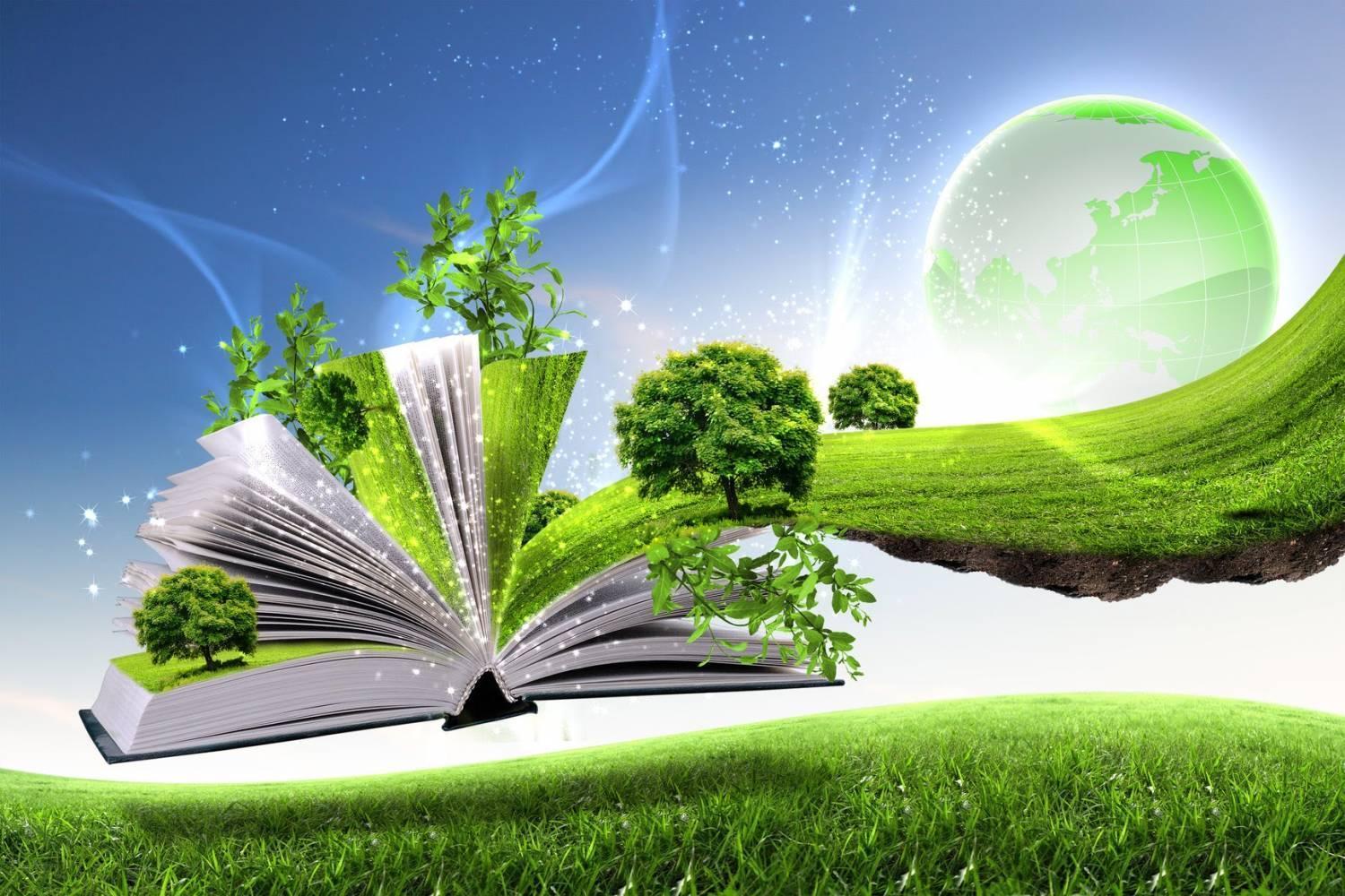 Топ книг про екологію для дітей - Книжкове видавництво "Каламар"